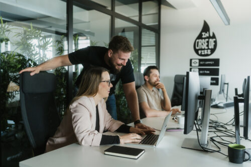 Bespoke software after-sales support staff
