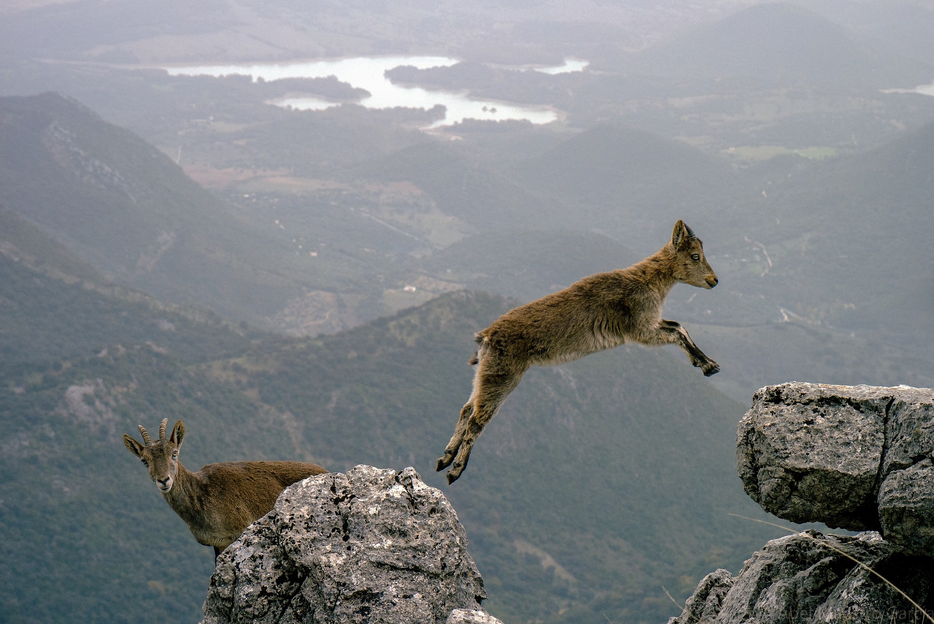 Bounce, as on bounces by visitors on a website